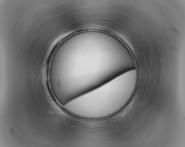 X0000113740987200909230942