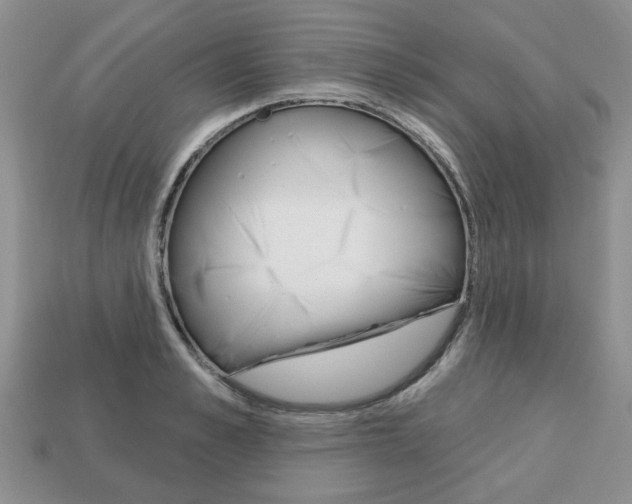 X0000113740989200909230942