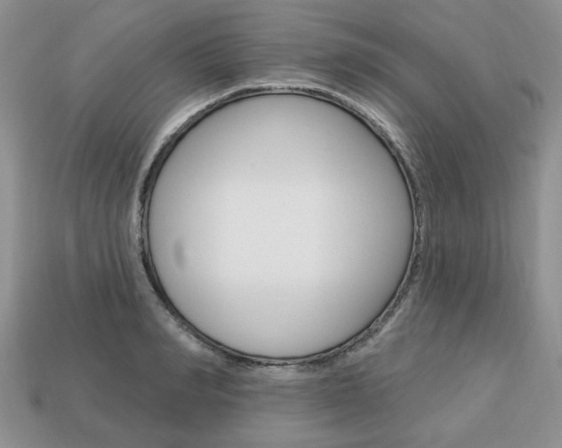 X0000113740990200909230942