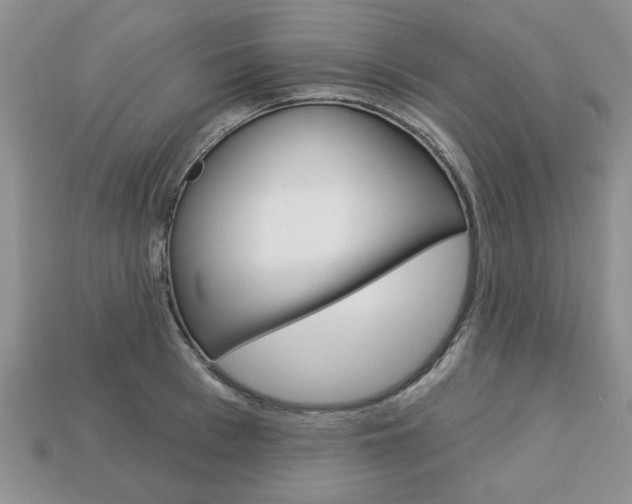 X0000113740993200909230942