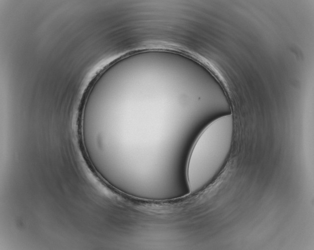 X0000113740995200909230942
