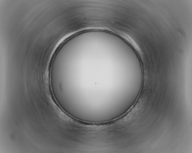 X0000113740996200909230942