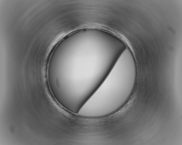 X0000113740997200909230942