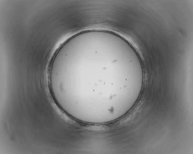 X0000113740998200909230942