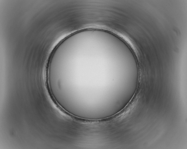 X0000113740999200909230942