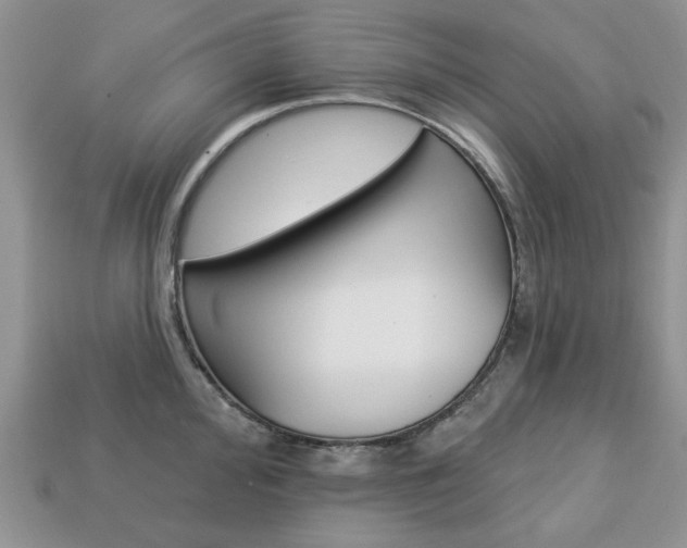 X0000113741000200909230942