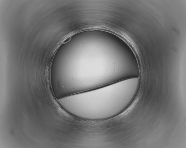 X0000113741001200909230942