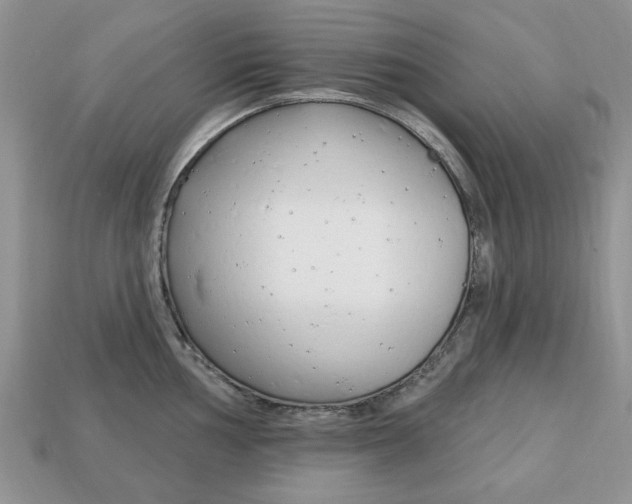 X0000113741002200909230942