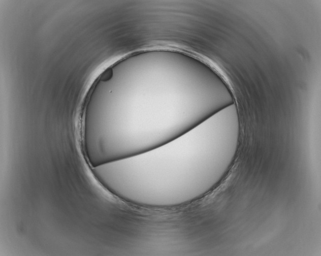 X0000113741003200909230942