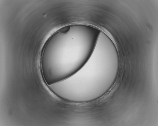 X0000113741005200909230942