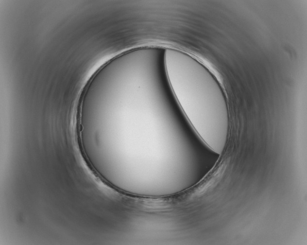 X0000113741007200909230942