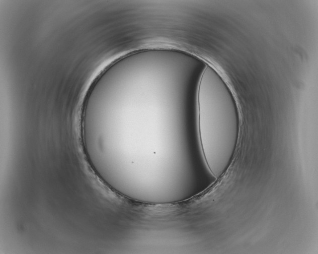 X0000113741008200909230942