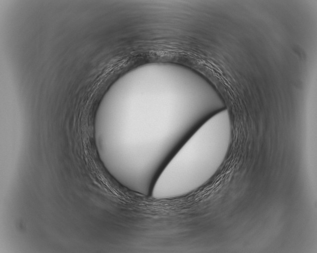 X0000113741009200909230941