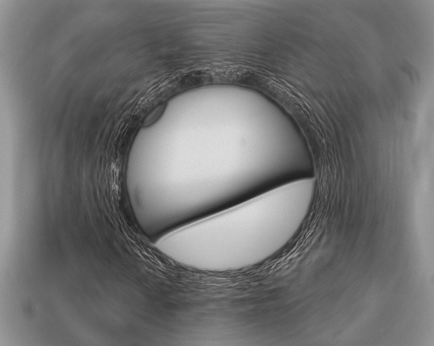 X0000113741010200909230941