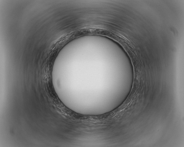 X0000113741014200909230941
