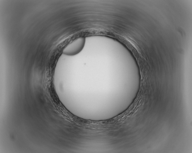 X0000113741015200909230941