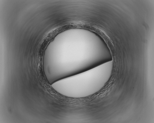 X0000113741016200909230941