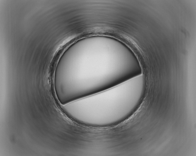 X0000113741018200909230941