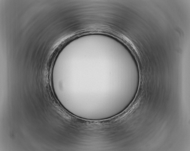 X0000113741019200909230941