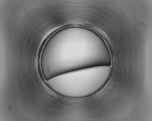 X0000113741020200909230941