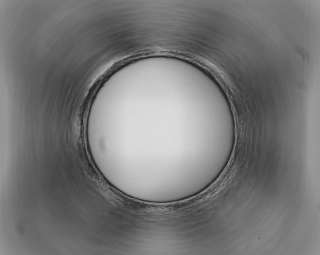 X0000113741023200909230941