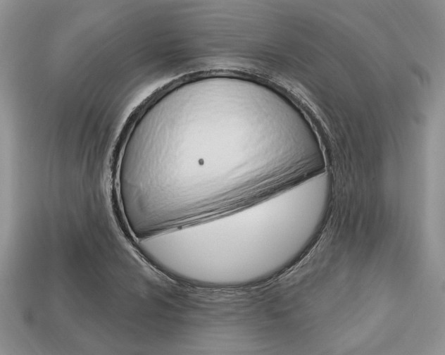 X0000113741024200909230941