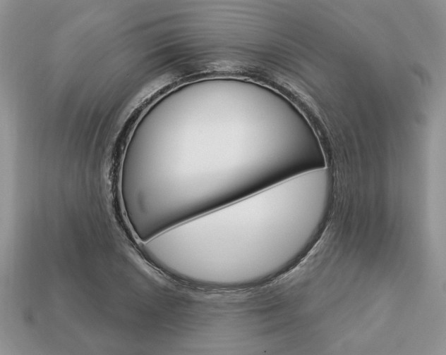X0000113741026200909230941