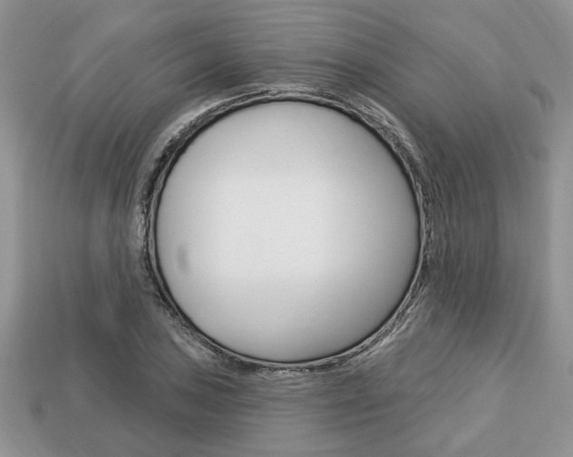 X0000113741027200909230941