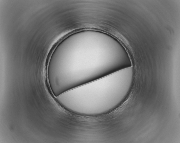 X0000113741028200909230941