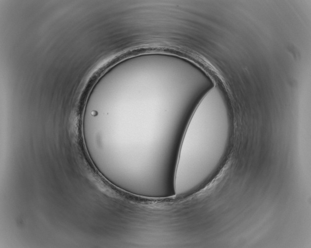 X0000113741029200909230941