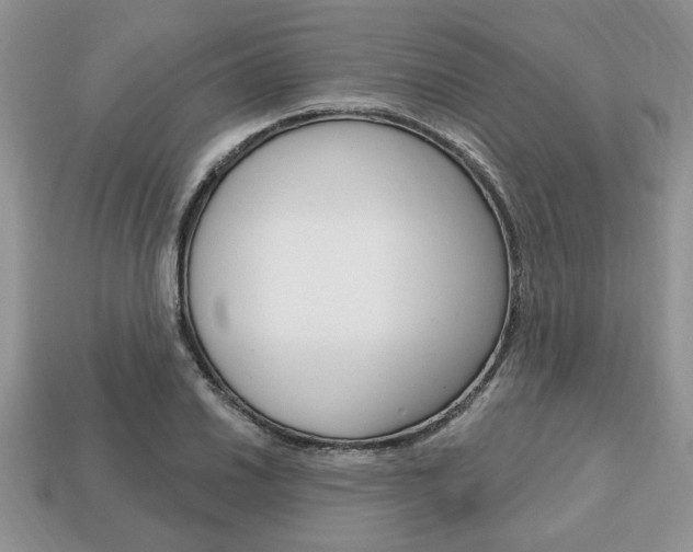 X0000113741030200909230941
