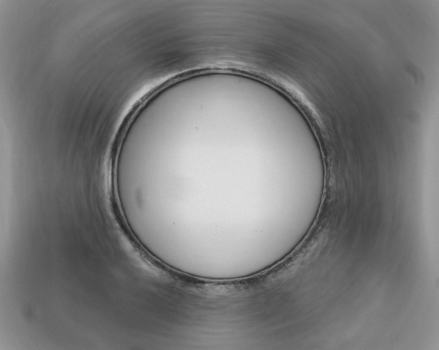 X0000113741032200909230941