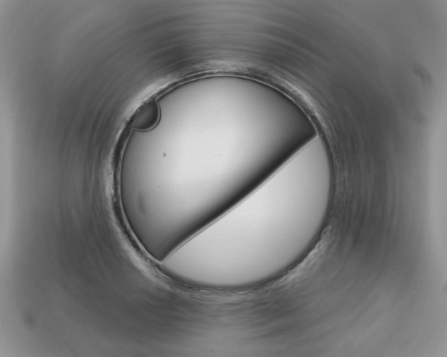 X0000113741034200909230942