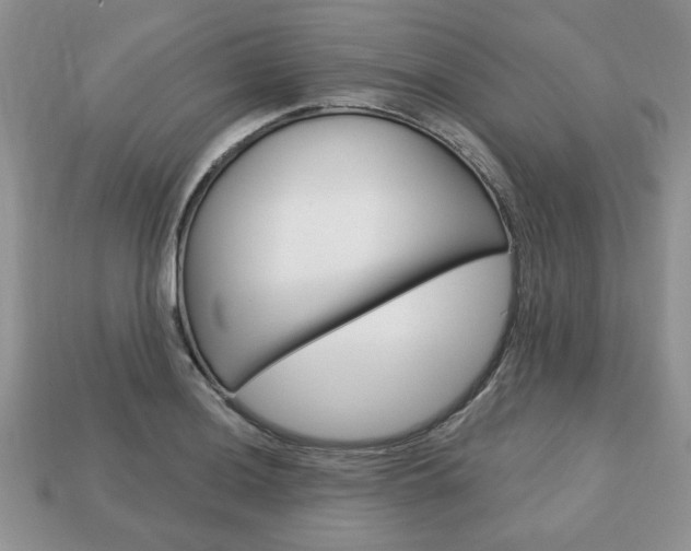 X0000113741036200909230942