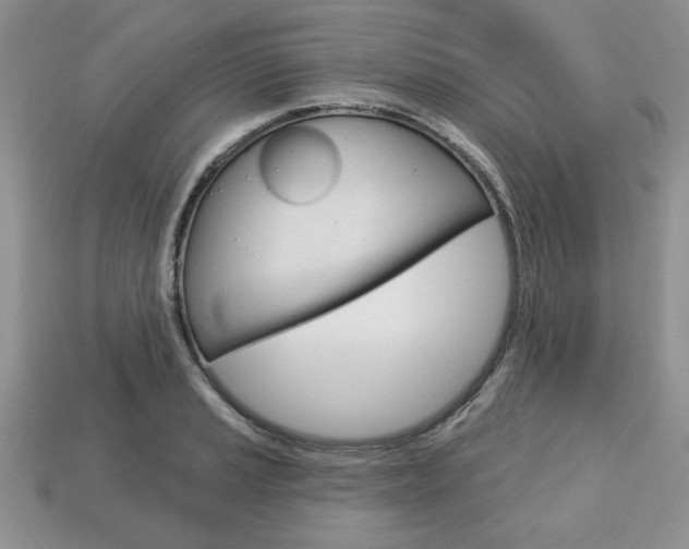 X0000113741037200909230942