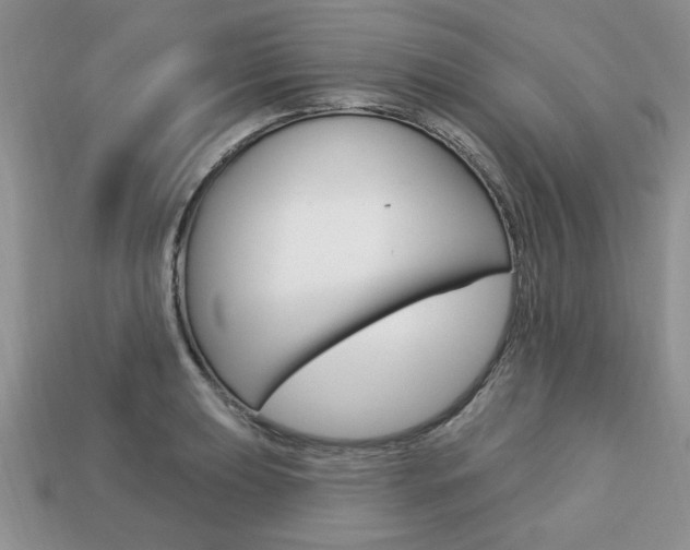 X0000113741039200909230942