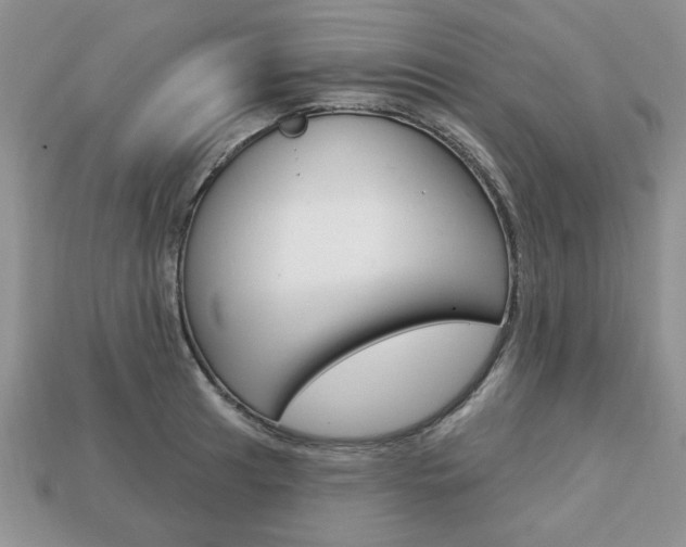X0000113741041200909230942