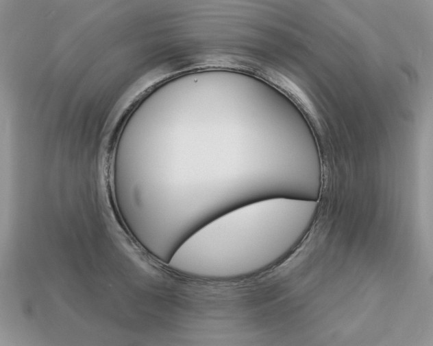 X0000113741043200909230942