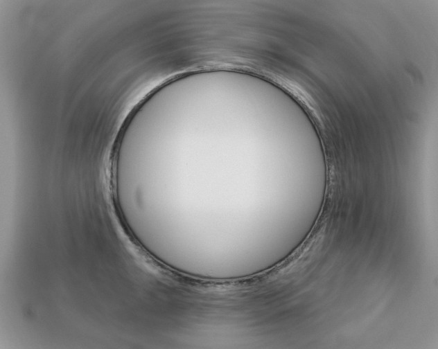 X0000113741047200909230942