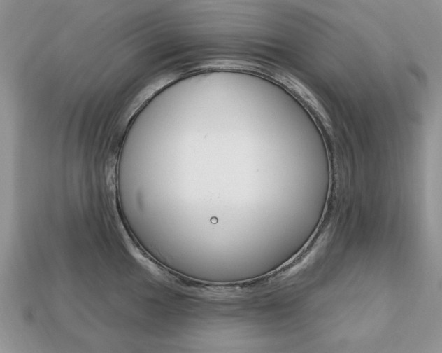 X0000113741049200909230942