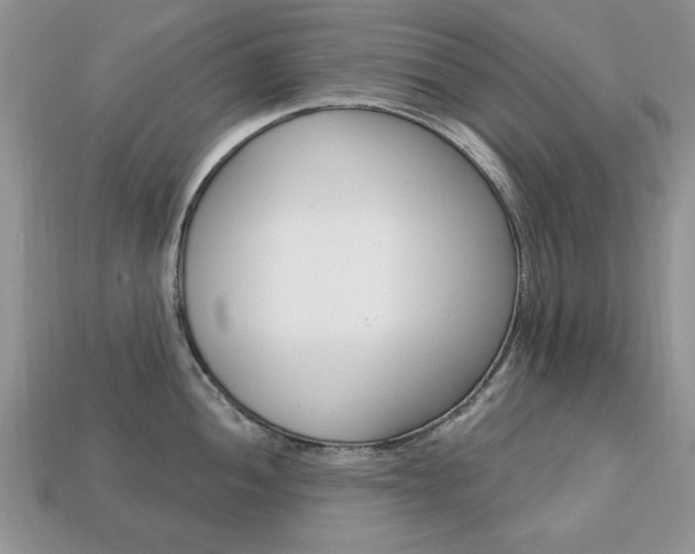 X0000113741052200909230942