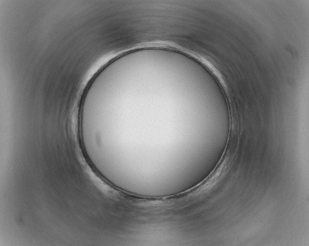 X0000113741054200909230942