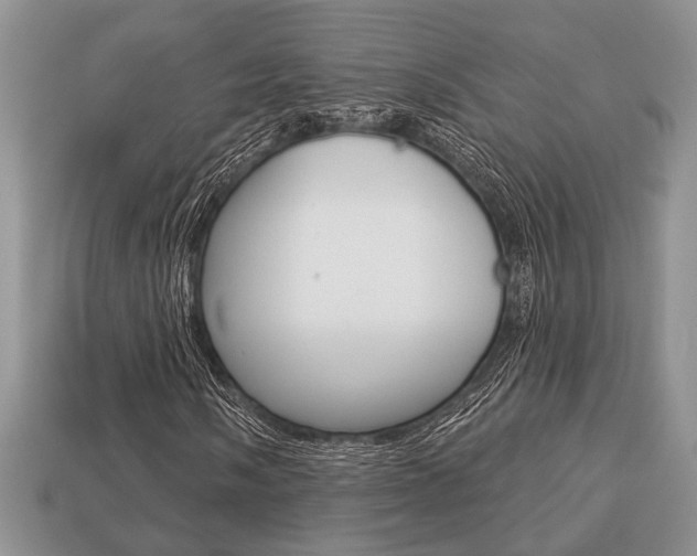 X0000113741058200909230941