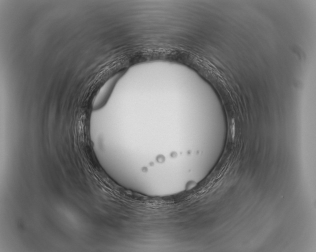 X0000113741059200909230941