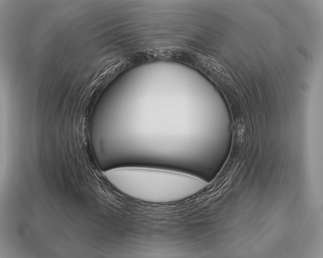X0000113741060200909230941