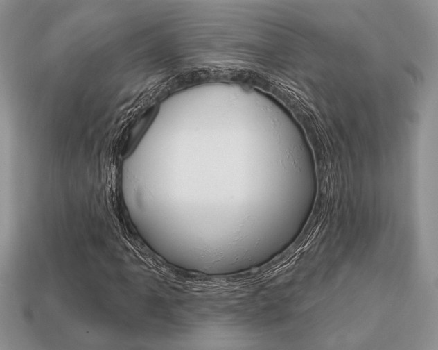 X0000113741061200909230941