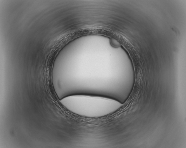 X0000113741062200909230941