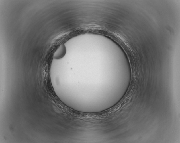 X0000113741063200909230941