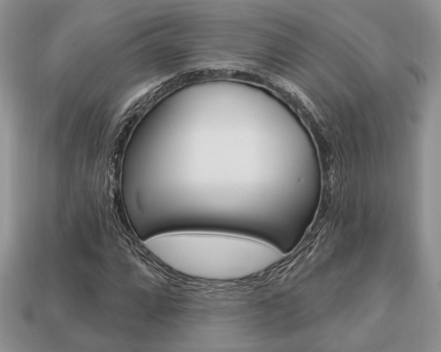 X0000113741064200909230941
