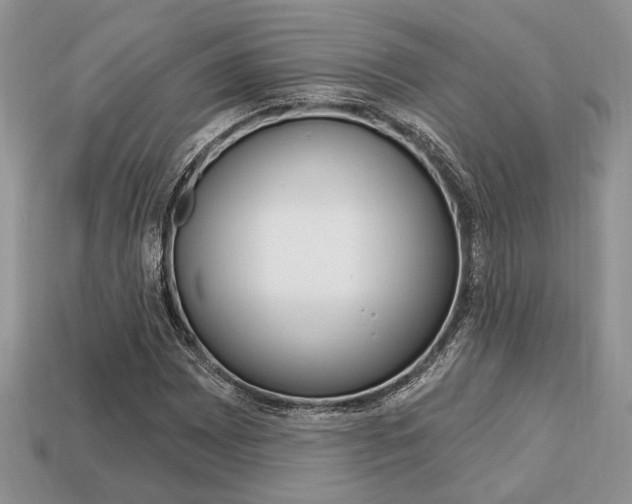 X0000113741065200909230941